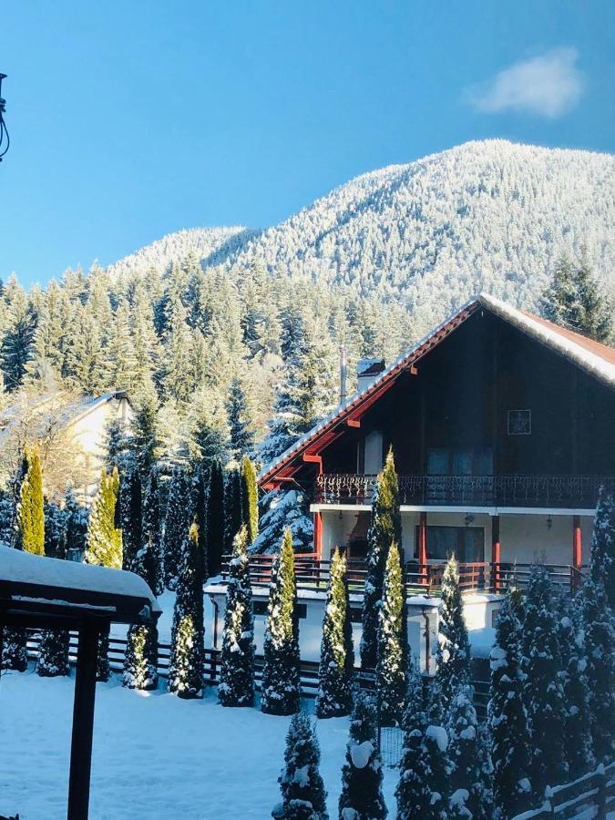 Maya Luxury Residence Poiana Brasov Exterior photo