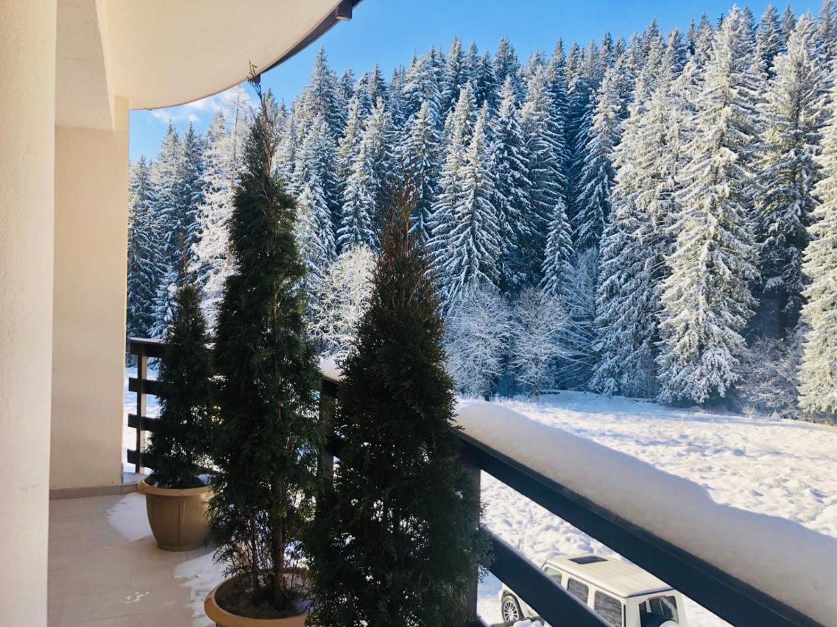 Maya Luxury Residence Poiana Brasov Exterior photo