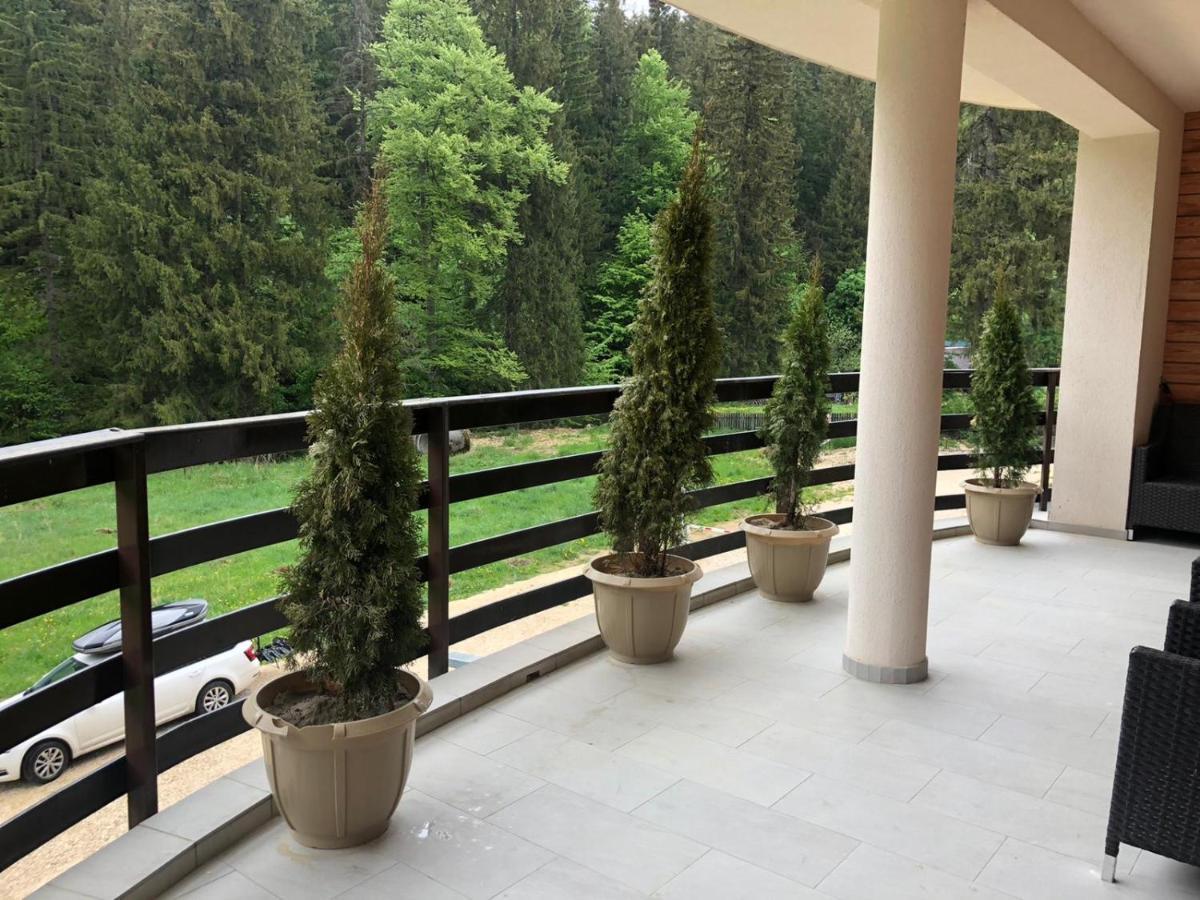 Maya Luxury Residence Poiana Brasov Exterior photo