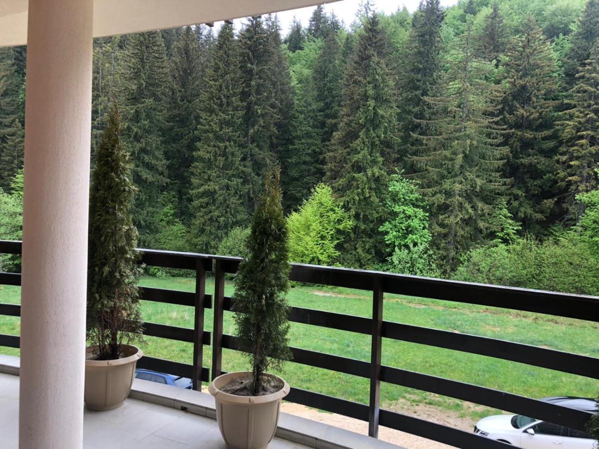 Maya Luxury Residence Poiana Brasov Exterior photo